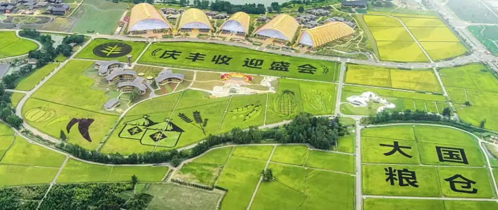 第五个中国农民丰收节|开云手机站官网携农产品品质成分低场核磁快速分析仪 亮相天府农博园